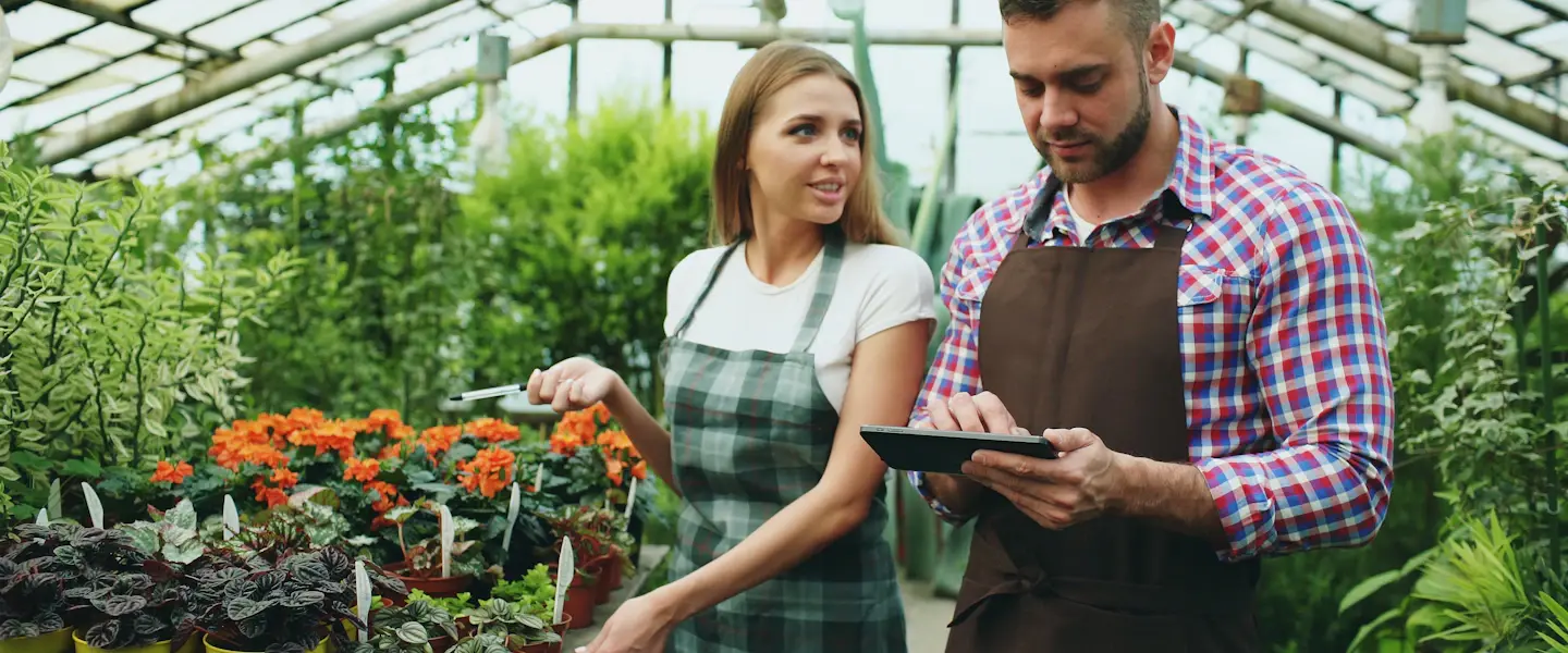 Two growers checking plants together in a greenhouse