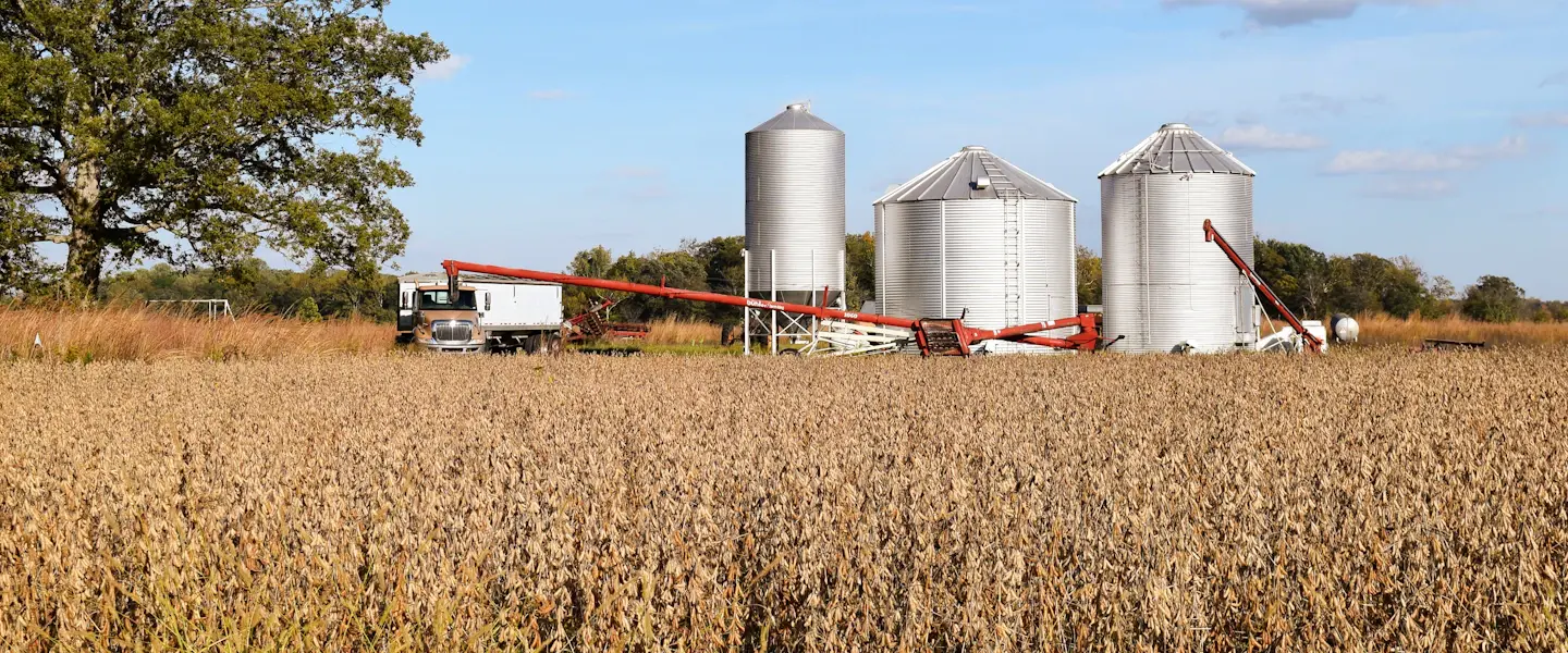 Grain silos and a truck beside a soybean field